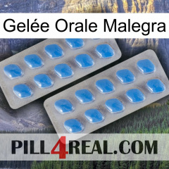 Gelée Orale Malegra 23